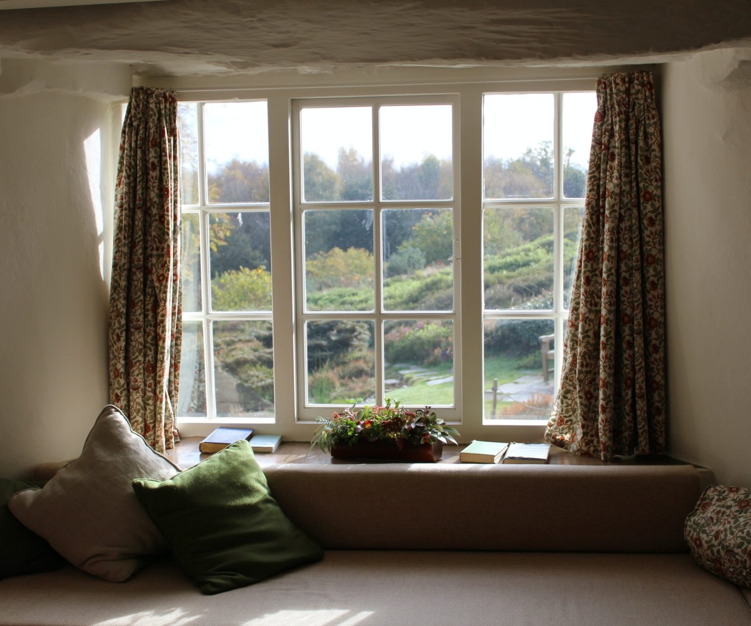 a window with a plant in the window