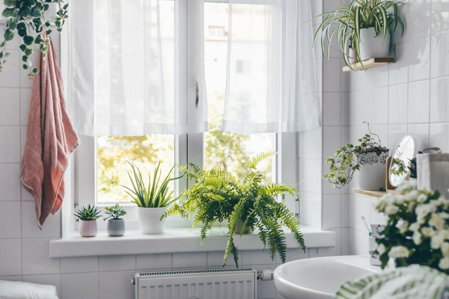 a window with plants in it